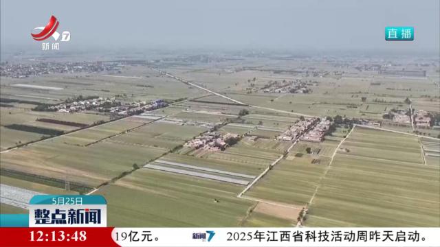 整点新闻20250525 12：00
