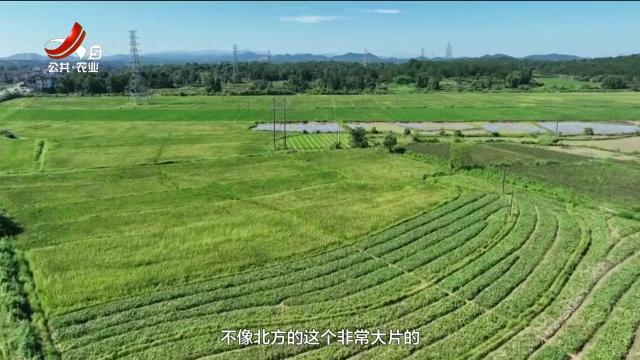 农问20250517
