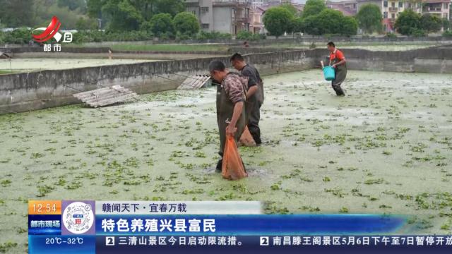 【赣闻天下】宜春万载：特色养殖兴县富民