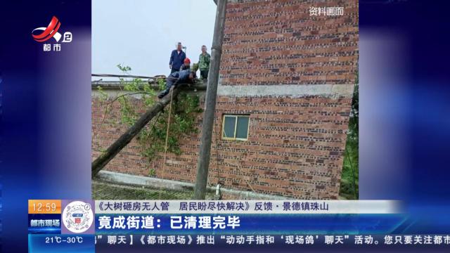 【《大树砸房无人管 居民盼尽快解决》反馈·景德镇珠山】竟成街道：已清理完毕
