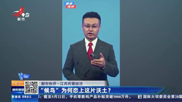 【都市快评·江西民营经济】“候鸟”为何恋上这片沃土？