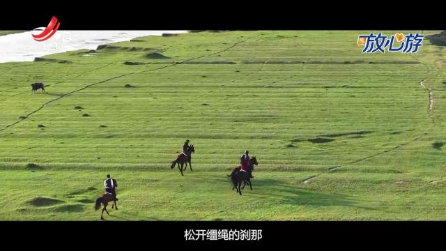 都市放心游20250525
