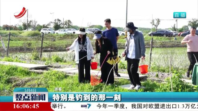 乡村游“热”力十足