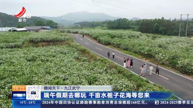 【赣闻天下】九江武宁：端午假期去哪玩 千亩水栀子花海等您来