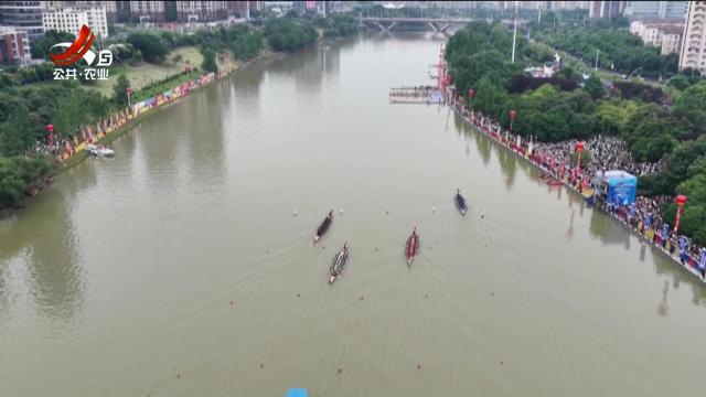 宜春：秀江竞渡热潮涌 龙舟破浪展雄风