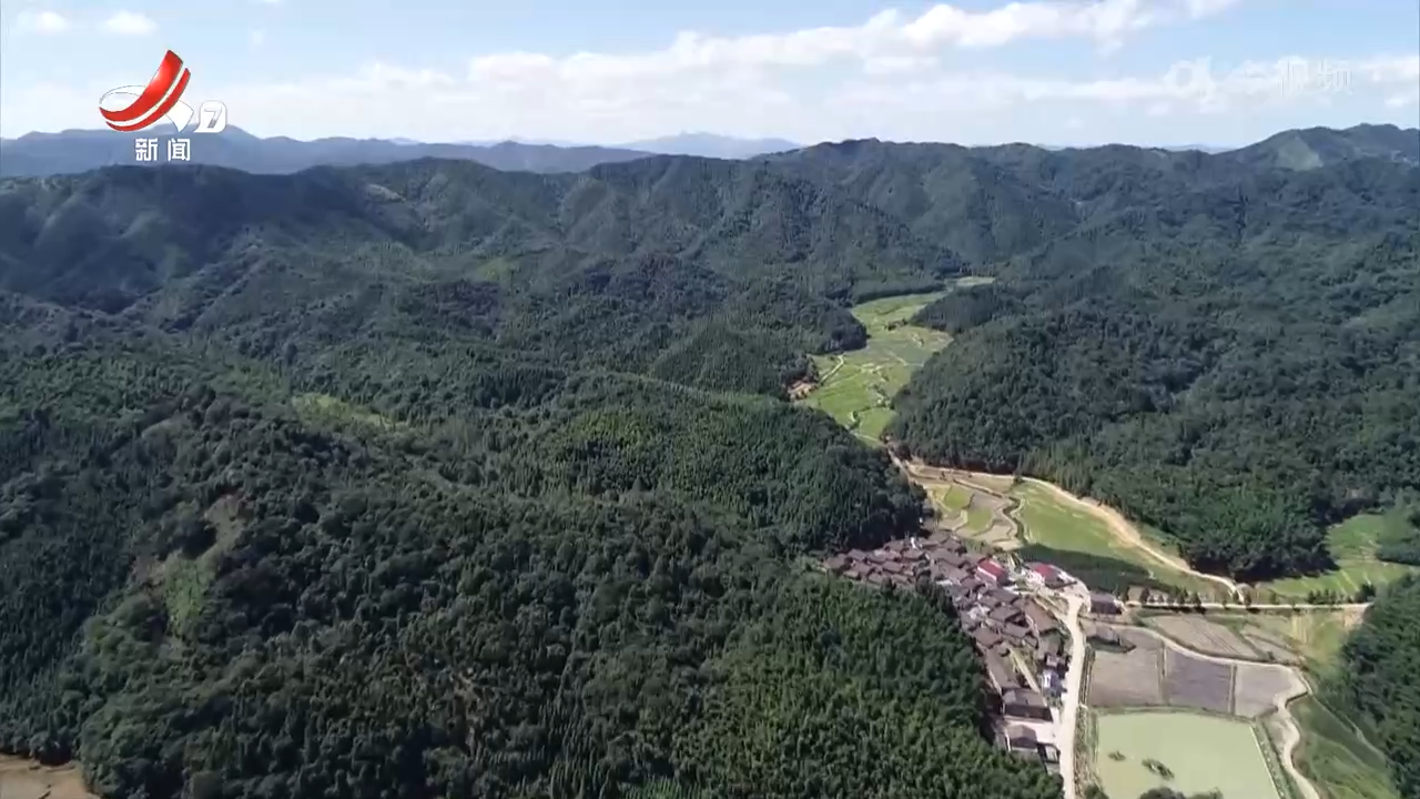 【改革在身边】江西：破解林改新型业态确权难 金融资本入山难