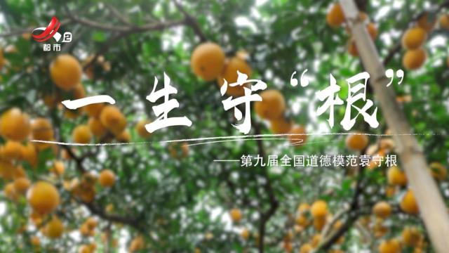 【一生守“根”】第九届全国道德模范袁守根