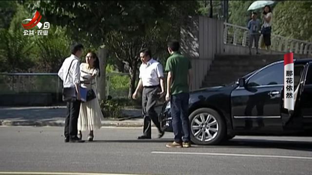 乡村栏目剧场20250528 那花依然