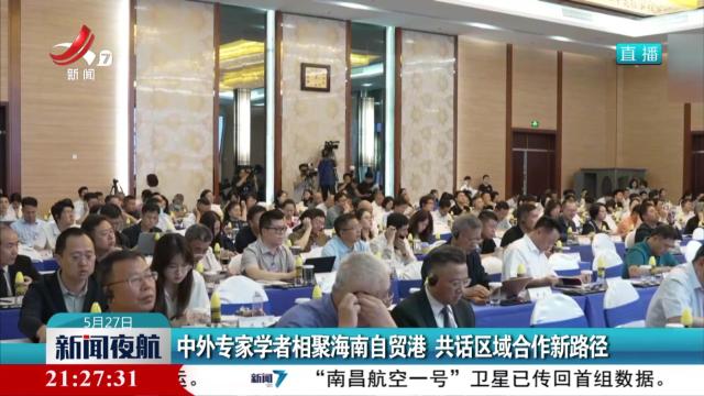 中外专家学者相聚海南自贸港 共话区域合作新路径
