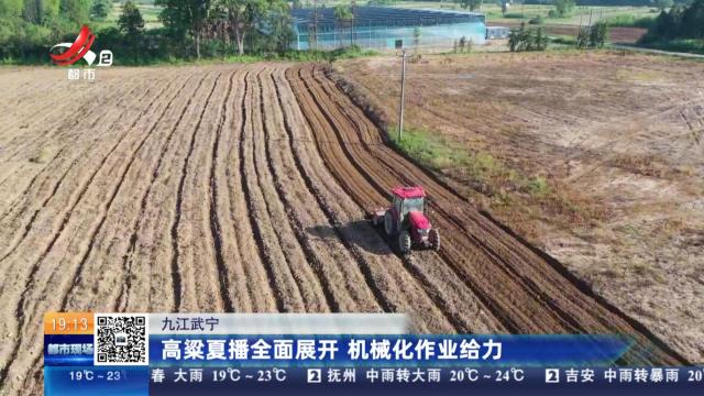 九江武宁：高粱夏播全面展开 机械化作业给力