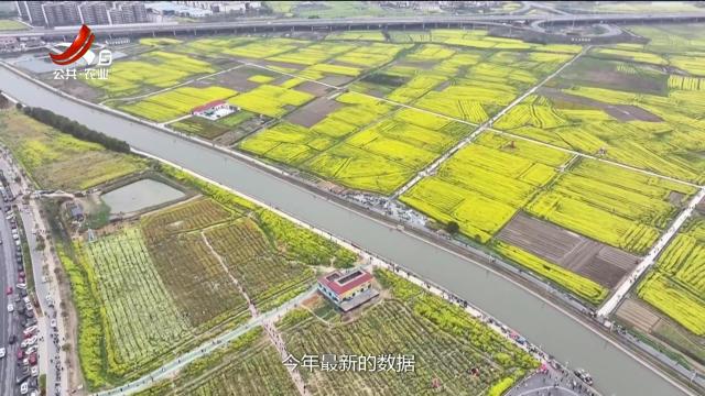 赣出精彩20250502