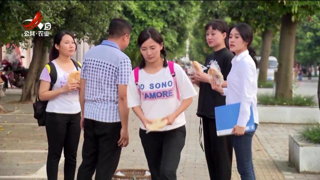 乡村栏目剧场20250512 爱的拯救