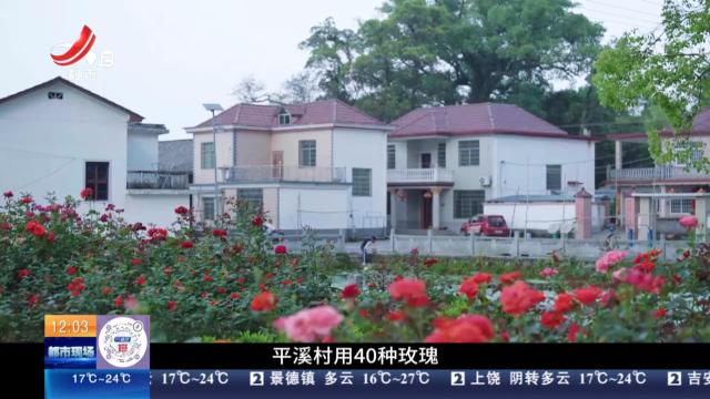 都市现场·午间版20250525