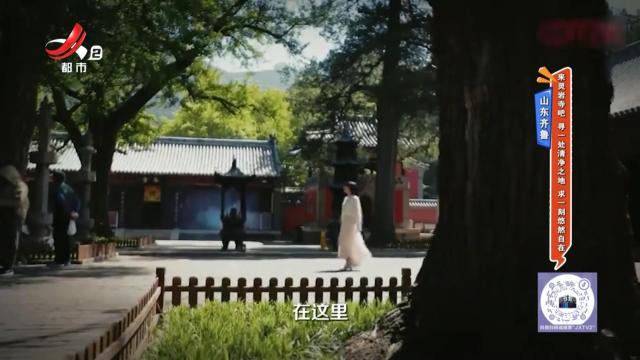 地宝当家20250503