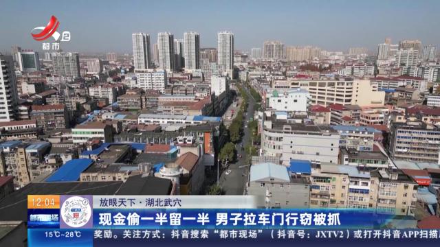 【放眼天下】湖北武穴：现金偷一半留一半 男子拉车门行窃被抓