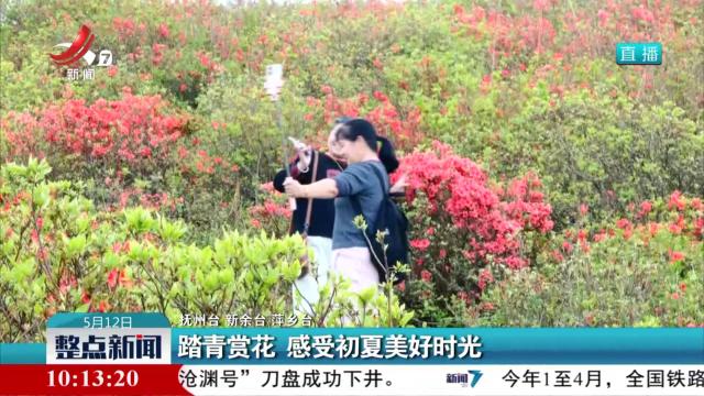 踏青赏花 感受初夏美好时光