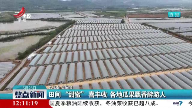 田间“甜蜜”喜丰收 各地瓜果飘香醉游人