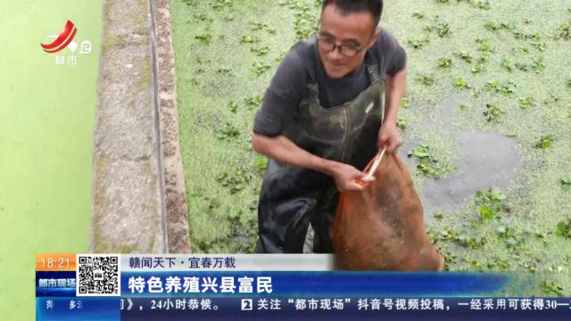 【赣闻天下】宜春万载：特色养殖兴县富民