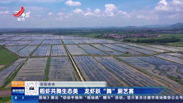 吉安吉水：稻虾共舞生态美 龙虾跃“舞”厨艺赛