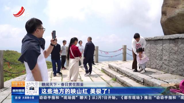 【赣闻天下·春日赏花图鉴】这些地方的映山红 美极了！