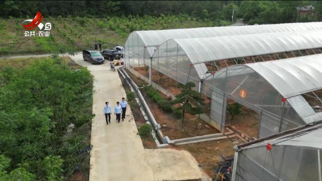 新闻晚高峰20250530