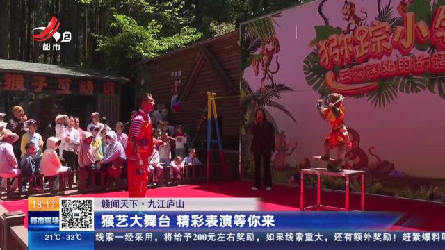 【赣闻天下】九江庐山：猴艺大舞台 精彩表演等你来