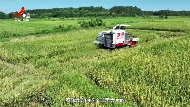 农问20250523