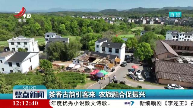 茶香古韵引客来 农旅融合促振兴