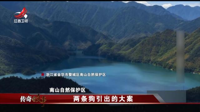 传奇故事20250507 两条狗引出的大案