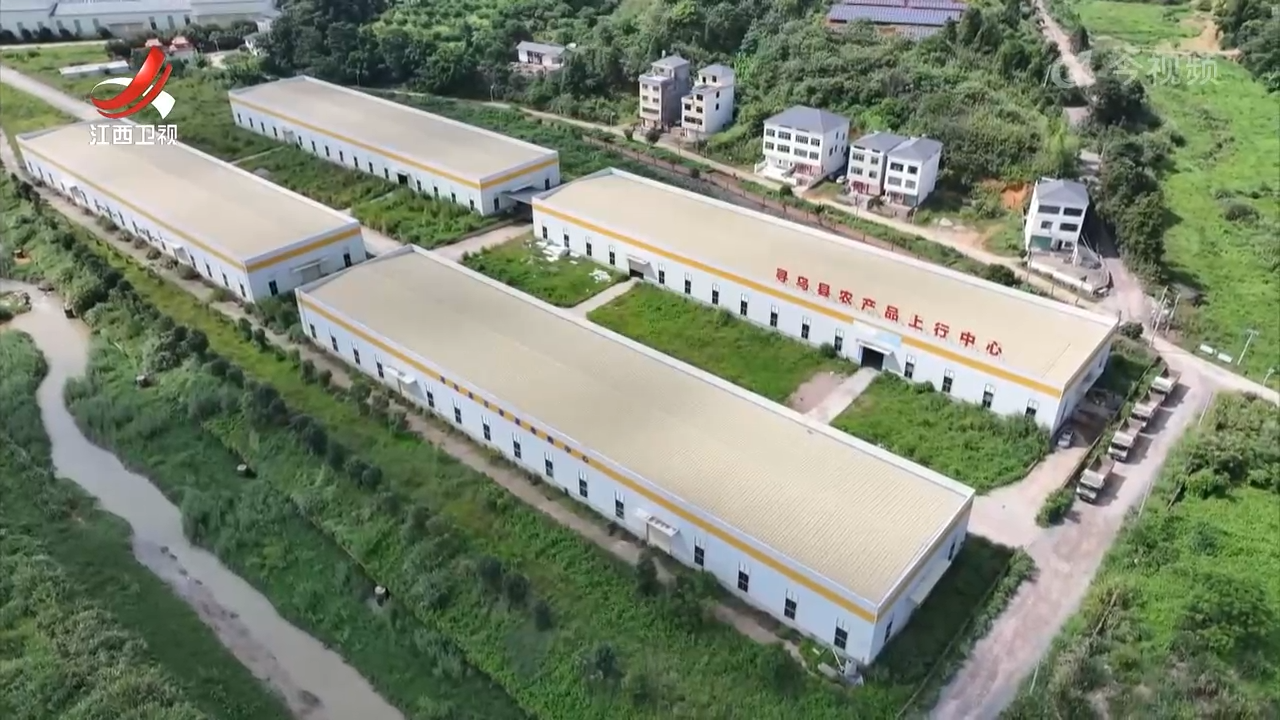【做好“土特产”文章 建设现代化大产业】阿里巴巴：发挥渠道资源优势 助推赣字号农产品走出去