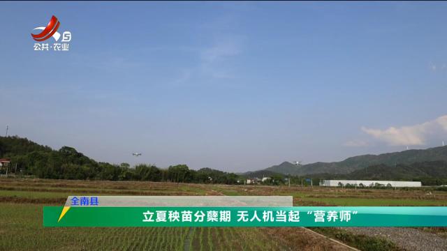 三农头条20250507