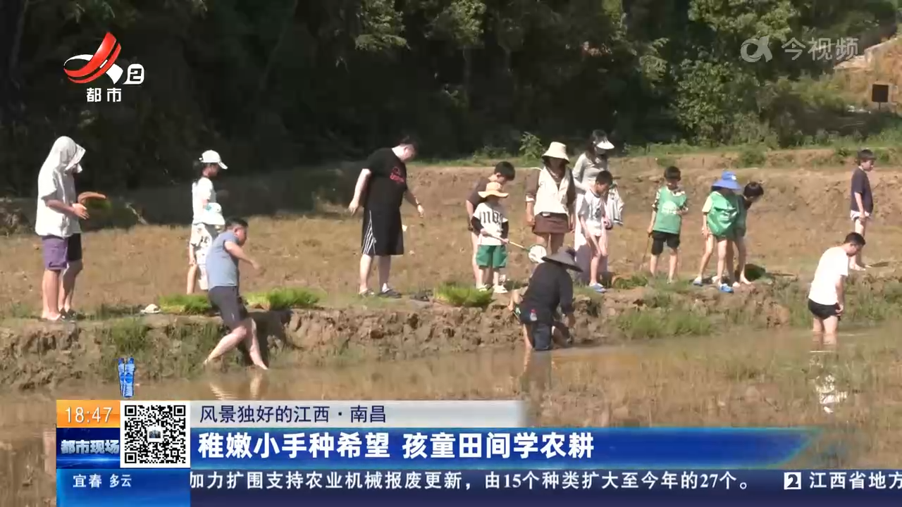 【风景独好的江西·南昌】稚嫩小手种希望 孩童田间学农耕
