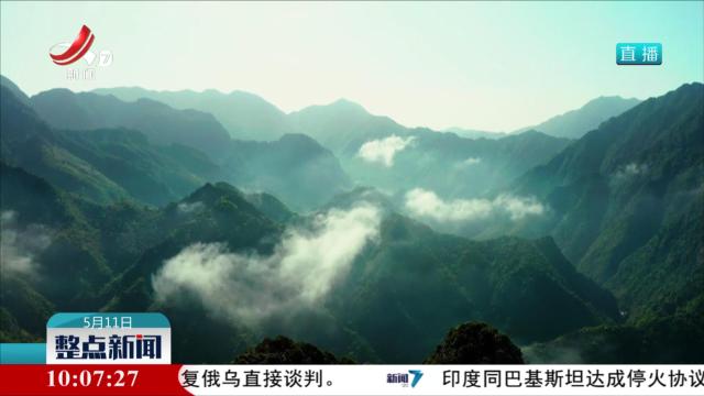 整点新闻20250511 10：00