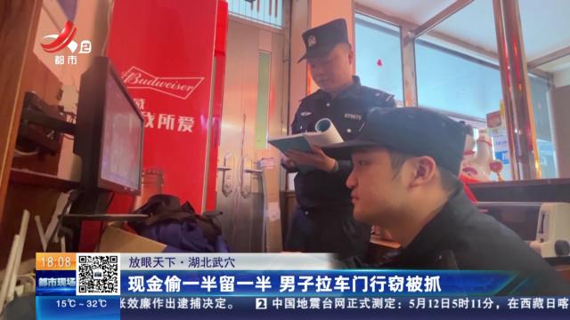 【放眼天下】湖北武穴：现金偷一半留一半 男子拉车门行窃被抓