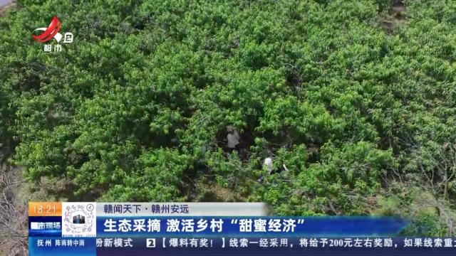 【赣闻天下】赣州安远：生态采摘 激活乡村“甜蜜经济”