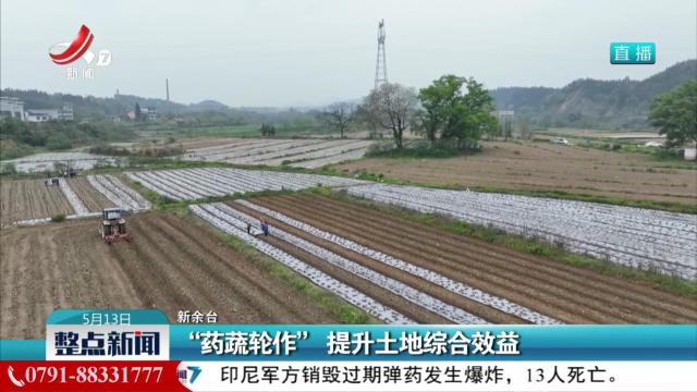 “药蔬轮作”提升土地综合效益