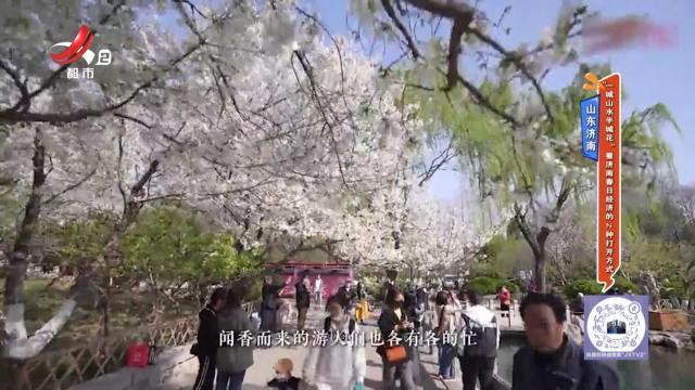 山东齐鲁——来灵岩寺吧 寻一处清净之地 求一刻悠然自在