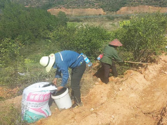 宜丰县采育联合林场：党建引领油茶产业升级