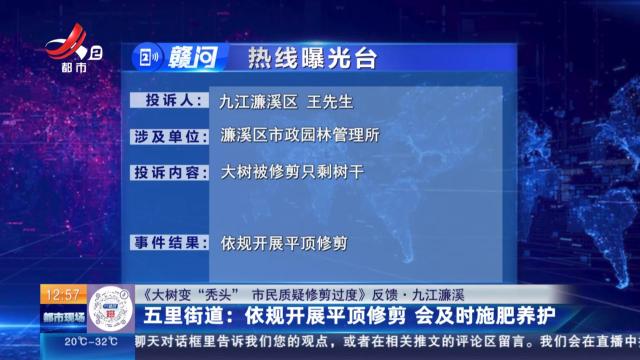 【《大树变“秃头” 市民质疑修剪过度》反馈·九江濂溪】五里街道：依规开展平顶修剪 会及时施肥养护