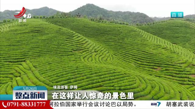 【提振消费进行时】一片绿叶的“潮”变