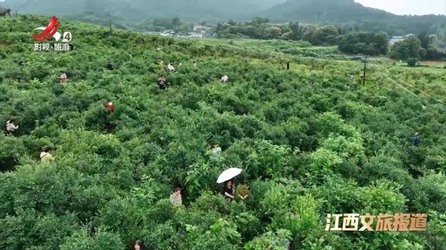 江西文旅报道20250521