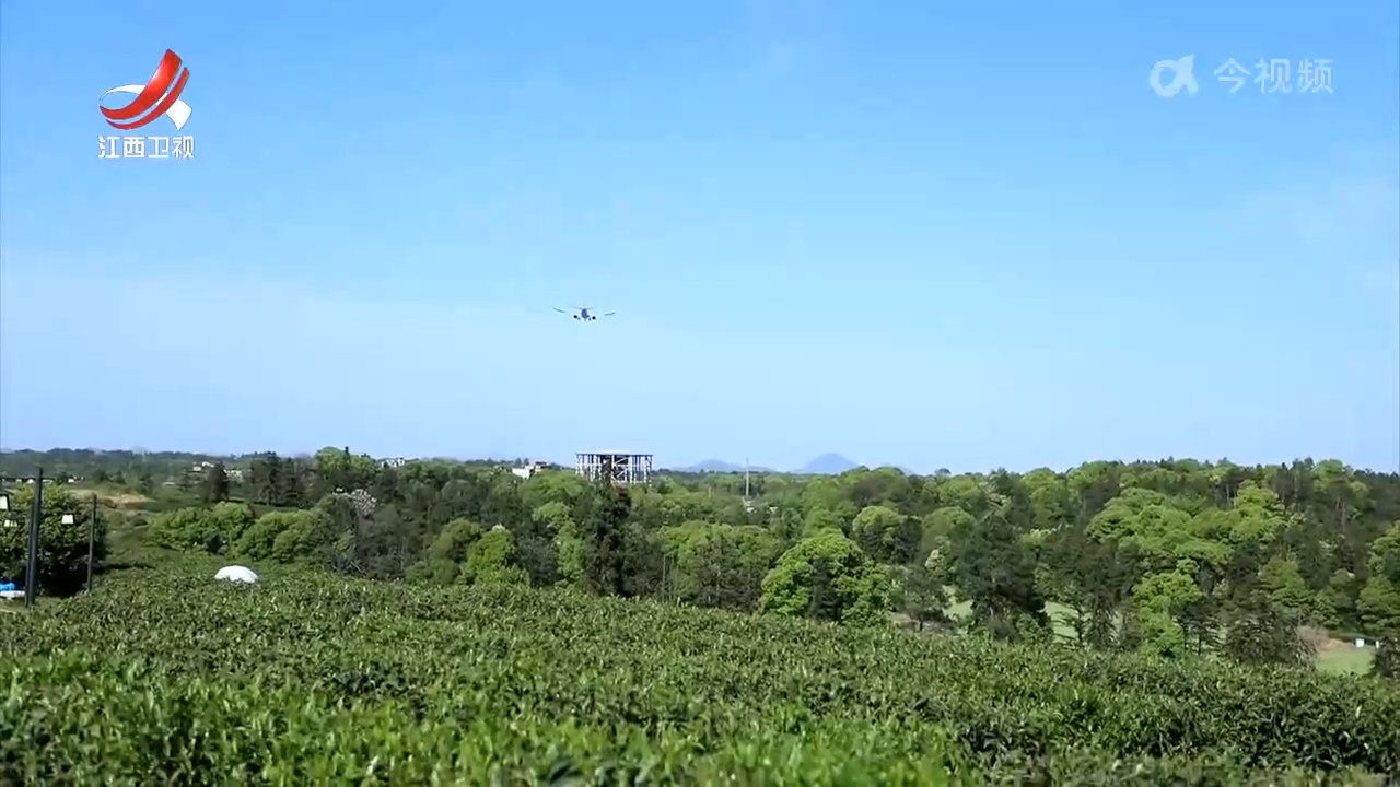 茶香古韵引客来 农旅融合促振兴