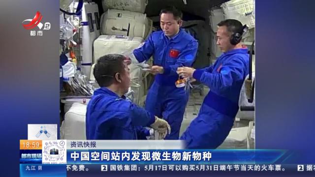 中国空间站内发现微生物新物种