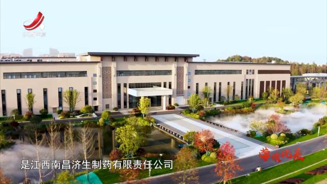 社会传真20250505 劳模风采：企业里的创新达人