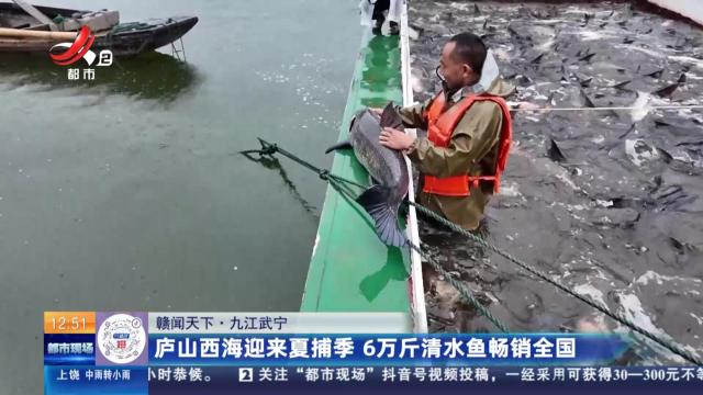 【赣闻天下】九江武宁：庐山西海迎来夏捕季 6万斤清水鱼畅销全国