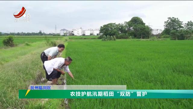 三农头条20250529