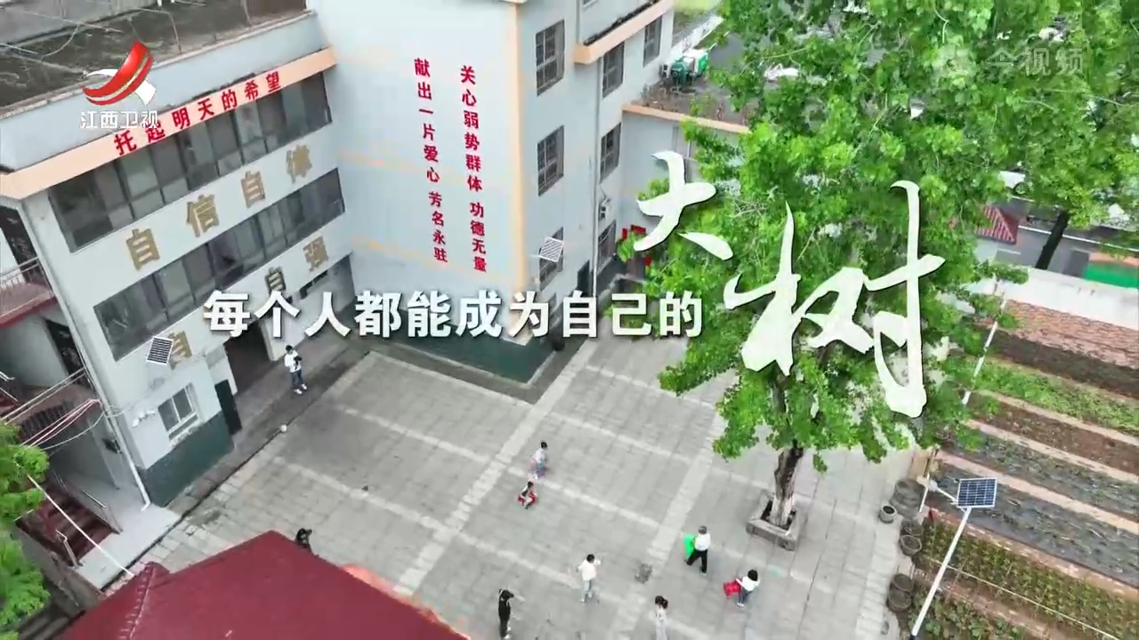 黄梅生：希望每个孩子都能成为“大树”
