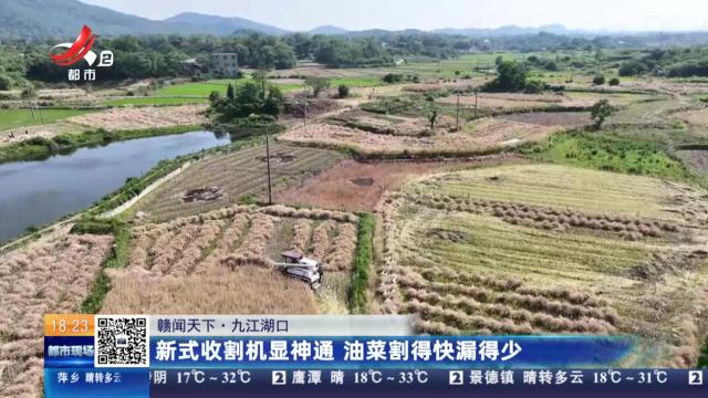 【赣闻天下】九江湖口：新式收割机显神通 油菜割得快漏得少
