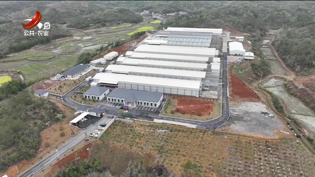 美丽江西在行动20250504 德安：一枚鸡蛋“孵”出18亿大产业