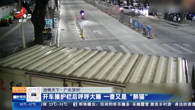 【放眼天下】广东深圳：开车撞护栏后呼呼大睡 一查又是“醉猫”